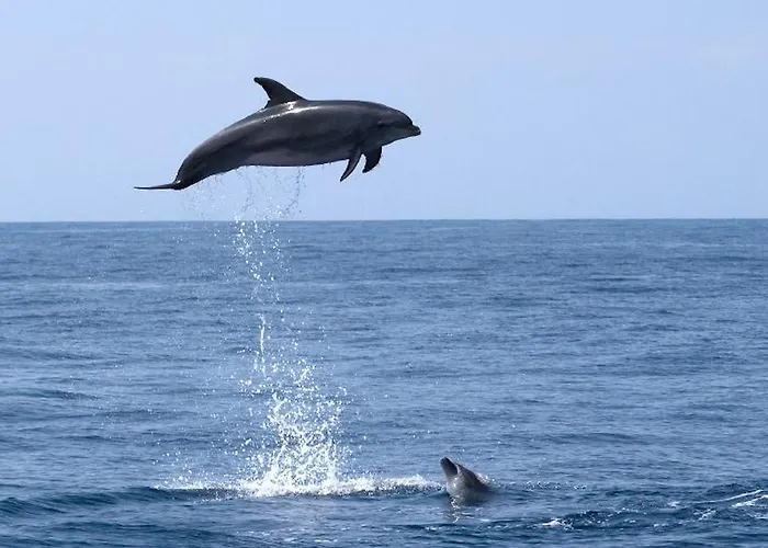 Casa Maruca Alcalá la Real